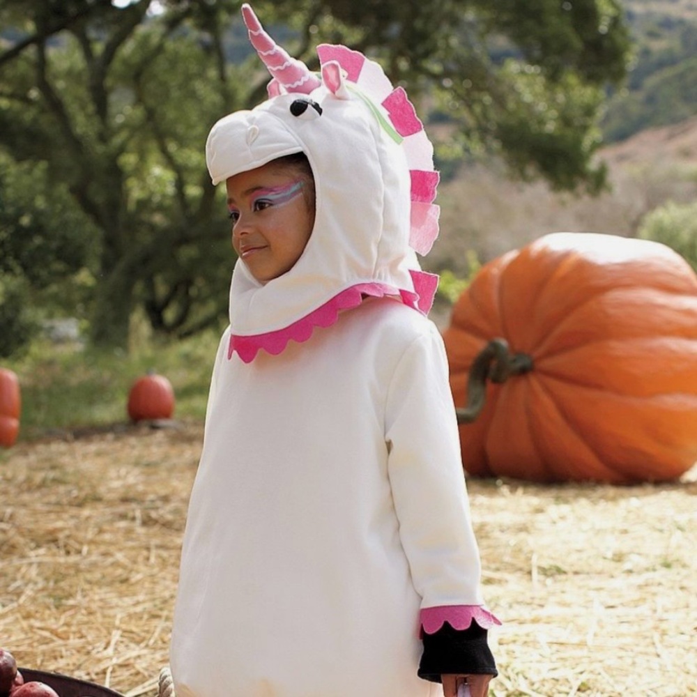 Pottery Barn Kids Unicorn Costume